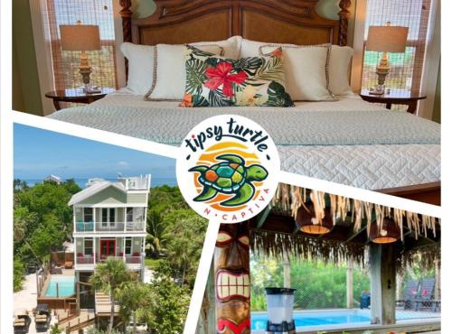 Tipsy Turtle Here's your springsummer vaca spot!