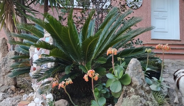 Tizzano, villa with individual garden.