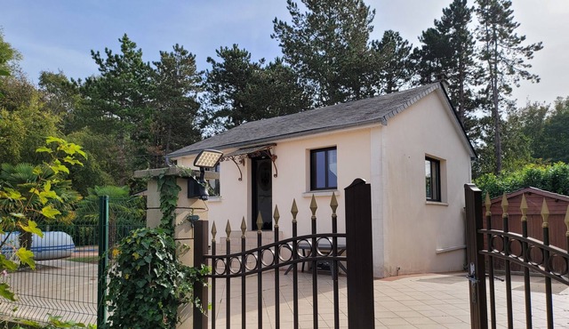 TL 26 - Sous les palmiers au soleil ☀