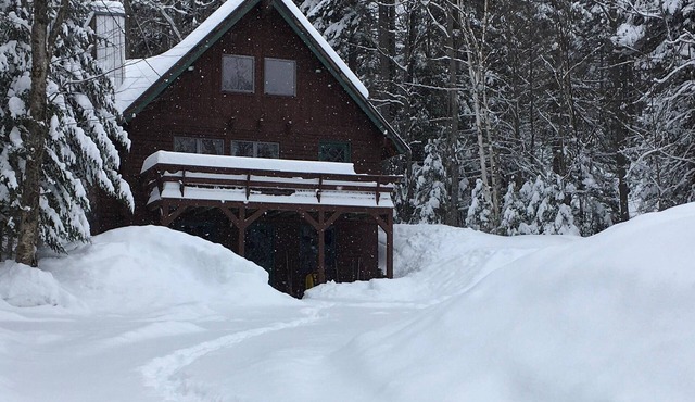 Tmakwa - You will love this little cabin - and it's sandy beach in the summer