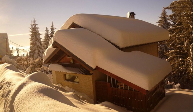 To just relax or to party