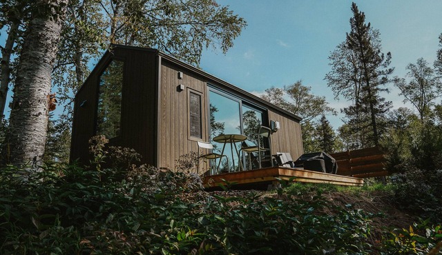 Tofte Trails Private Vacation Rental Cabin with King Bed, Kitchen & Bathroom