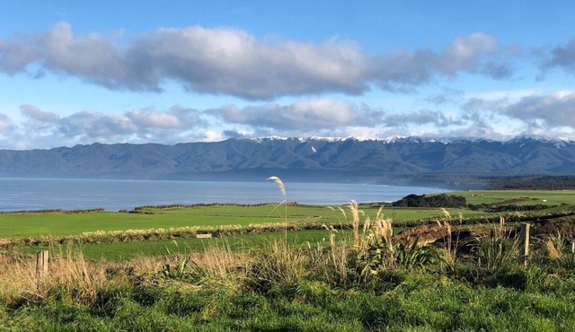 ToiToi Papatotara BnB