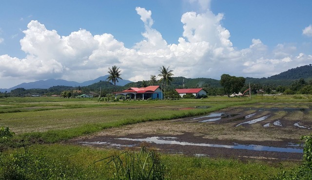 Tok Bidin Homestay Langkawi