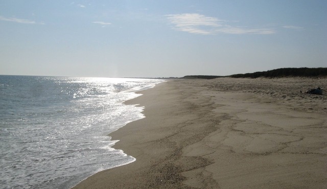 Tom Nevers-Family neighborhood