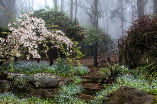 Tomah Retreat - Studio RELAX with fireplace