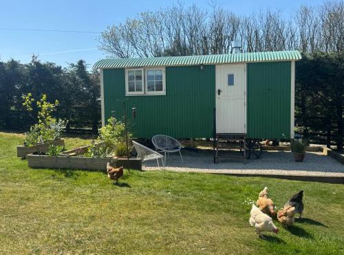 Toms Hut and Robins Rest Shepherd Huts near Wadebridge