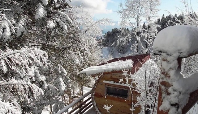 Tonneau Col de la Faucille