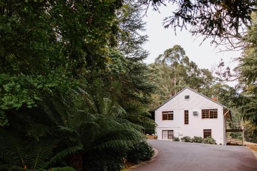 Toorongo Valley Estate