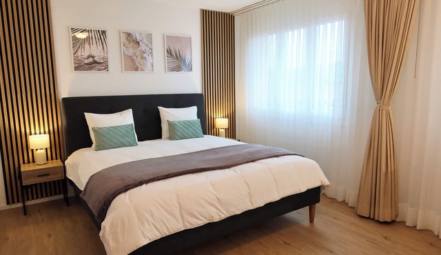 Top duplex Apartment Zurich-Limmattal