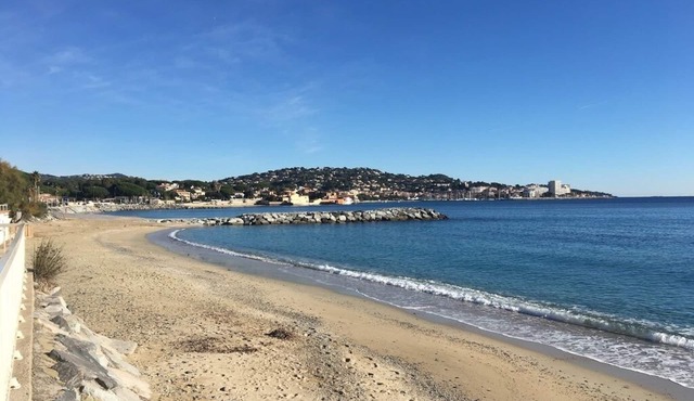 Top Floor Apartment in Beautiful Tree Lined Street