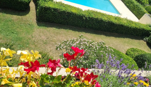 Top floor apartment with pool in a city center park near the Corum