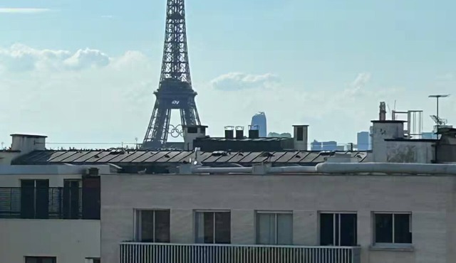 Top floor Saint Germain Terrace Apartmrent