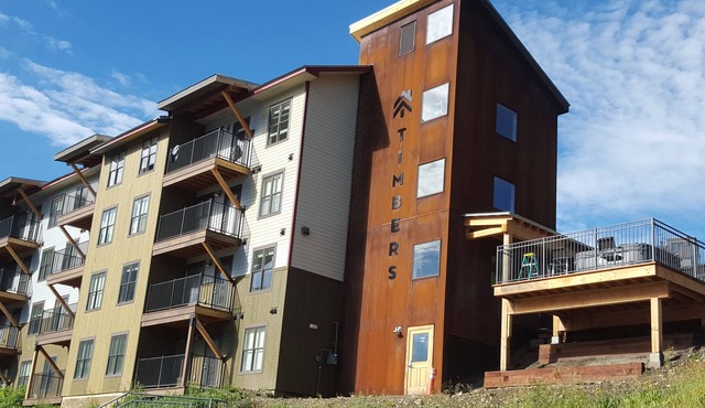 Top Floor Timbers Condo in Mt. Crested Butte