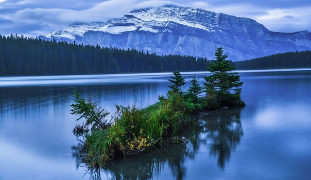 Top Hotel in Issaquah, WA With Hip Lobby Bar