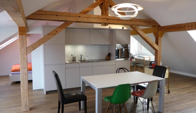 Top modern 2-bedroom penthouse apartment in Bern - Beautiful flat roof in Berne City