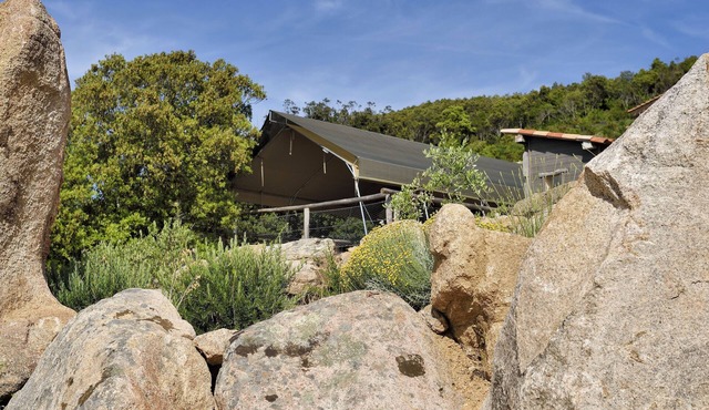 Top-of-the-range Safari tent on stilts