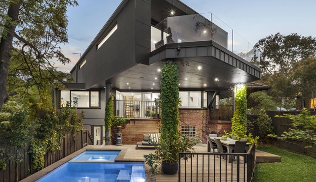 Top of the Trees in the City