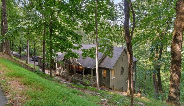 Top of the Trees Oasis