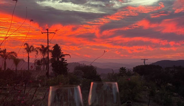 Top San Diego Vineyard and Winery minutes from Downtown