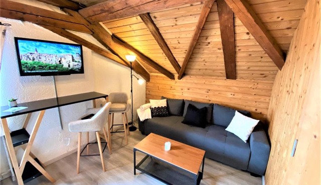 TOP-URIGES Studio mitten im Bayerischen Wald +NETFLIX in Perlesreut