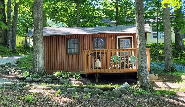 Torch Lake Cabin Rentals~ Where Cozy Lakefront Cabins meet stunning Torch Lake!