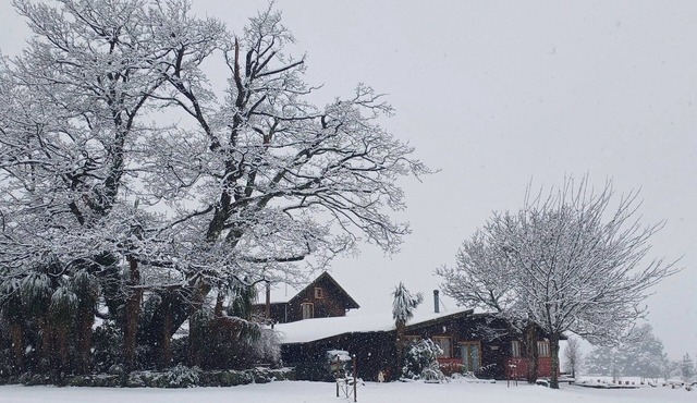 Torokiki bach - a place to rejuvenate