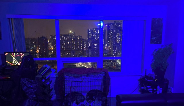 Toronto Penthouse available!