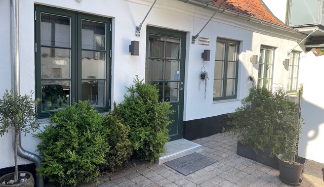 Totalt Nyrenoveret fin og lys Lejlighed med Terrasse i Centrum af Sønderborg