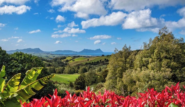 TOTARA RIDGE - A Private Escape with Ocean viewsnAutumn/Winter Specials Book Now