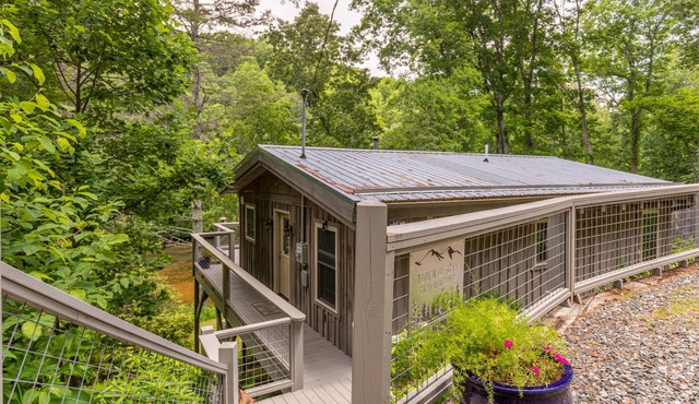 Touch of Grey - Riverfront home, pet friendly, near Boone and West Jefferson