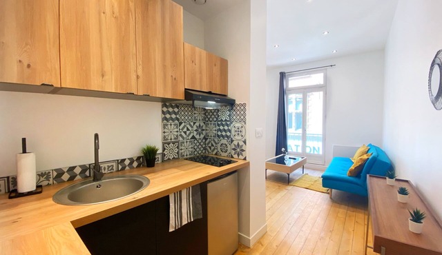 Toulouse Hypercentre 2: beautiful furnished and air-conditioned apartment