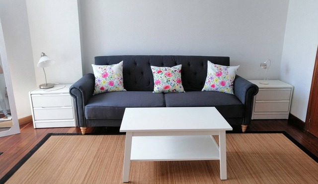 Tourist Accommodation Portaleta in Plentzia