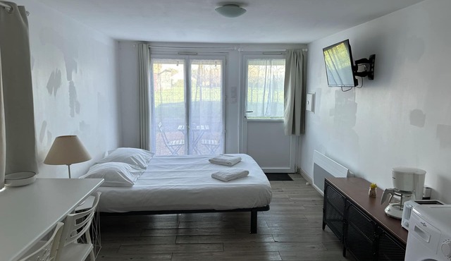 Tours, Touraine and Loire Valley Castles