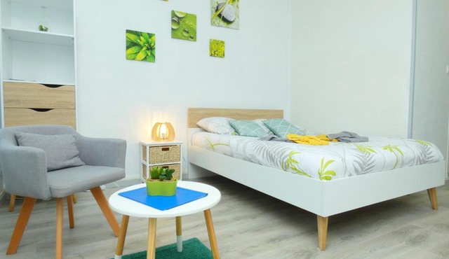 TOUT CONFORT - LUMINEUX - CENTRE VILLE et PROCHE COMMERCES