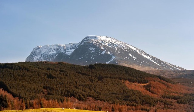 Tower Ridge Courtyard