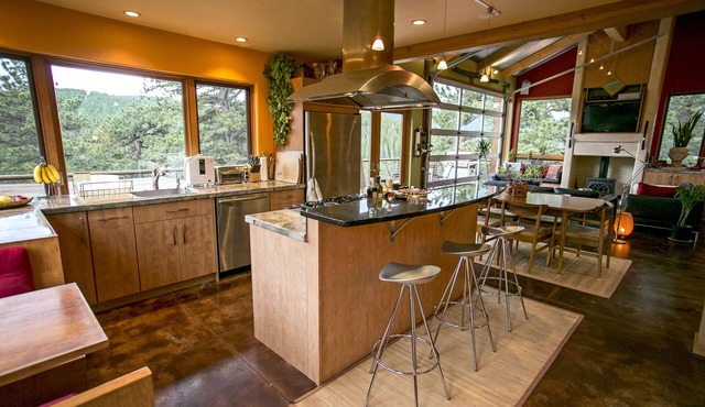 Towering Pines - Mountain Modern Nederland Retreat