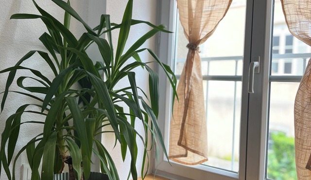 Town center house with terrace and private parking