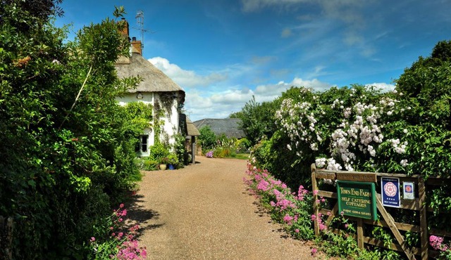 Town End Farm Cottages