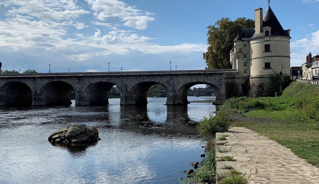 Town house (4/6 pers) in Châtellerault