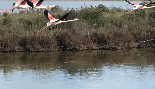 TOWN HOUSE AT THE FOOT OF THE PORT