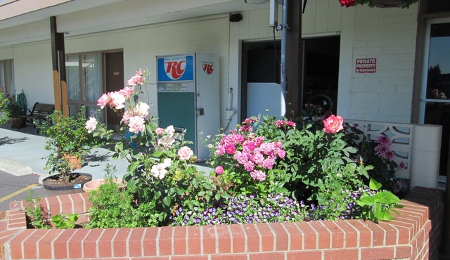 Town House Motel Inc