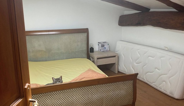 Town house near Anduze la bambouseraie in the Cévennes