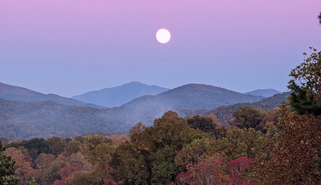 Townsend Peaceful Side Smoky Mountains near Cades Cove Hip Vintage Condo