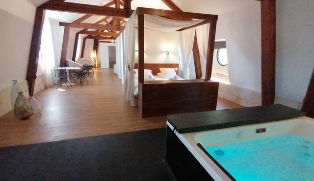 Très Grand Loft Sous Les Toits - Château La Vidalle