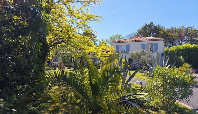 Très Joli Appartement Neuf de 55m2 Tout Équipé