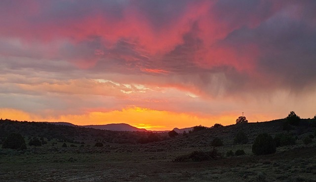 Trade the hustle, bustle, horns, sirens for a camping getaway!