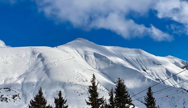 Traditional chalet 12p face chain of Mt Blanc