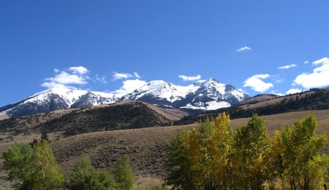 Traditional Cabin and Guest Cottage North of Yellowstone Park