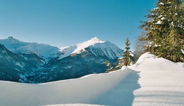 Traditional chalet high capacity wood cottage